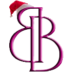 Xmas-BB-TSP
