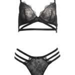 VS Unlined Chantilly Bra & High-waist Chantilly Cheekini