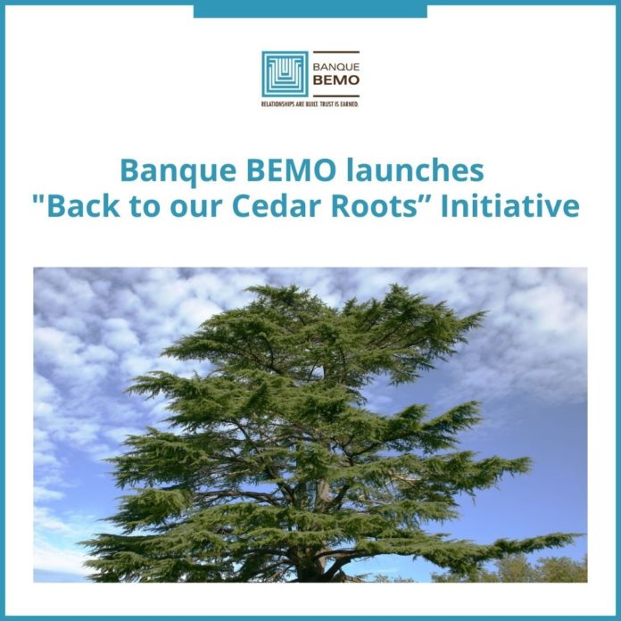 Banque BEMO Cedar Roots