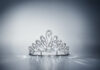 Swarovski unveils shining tiara for the 2025 Vienna Opera Ball